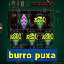 burro puxa